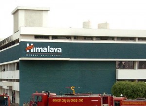The Himalaya Drug Company Regional Manager Reviews By 25 Employees Ambitionbox