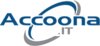  Accoona Global