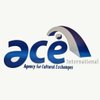 Ace International logo