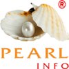 Add Pearlinfo logo