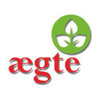 Aegte logo