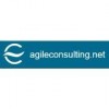 Agile Consulting logo