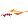 Agility E Services Logo