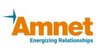 Amnet Systems logo