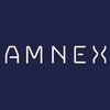 Amnex Infotechnologies Private Limited logo