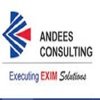 ANDEES CONSULTING logo