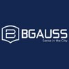 B Gauss logo