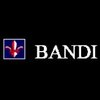 Bandi Informatics