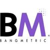 BANGMETRIC SERVICES PRIVATE LIMITED logo