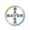 Bayer Business Services logo