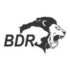 BDR Pharmaceuticals Internationals Pvt. Ltd. logo