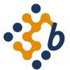 Benerg Software Solutions Pvt Ltd logo