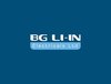 BG LIIN Electrical logo