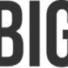 Big 4 Accounting Firms logo