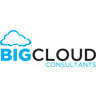 Big Cloud Consultants logo