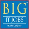 BIG IT JOBS logo