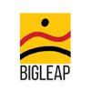 Bigleap Solutions Logo