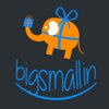 Bigsmall.in logo