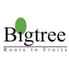 Bigtree Entertainment