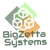 BigZetta Systems logo