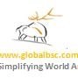 BSC Global logo