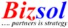 bizsol india pvt ltd