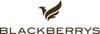 Blackberrys logo