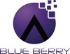 blue berry E-services logo