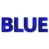 Blue Digital Media logo