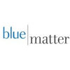 Blue Matter Consulting India Private Limited logo