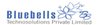 Bluebells Technosolutions logo