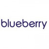 Blueberry Labs logo