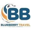 Blueberry Travel logo