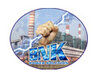 Bnk Power Solution logo