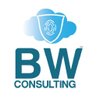 Brainwave Consulting logo