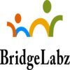 BridgeLabz Solutions logo