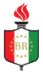 Bright Riders School logo