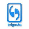 Brigosha Technologies Logo