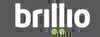 Brillio Technologies Pvt. Ltd logo