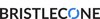 Bristlecone India Limited logo