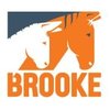 Brooke Hospitals For Animals logo