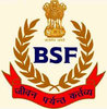 BSF logo