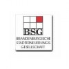 BSG logo