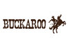 Buckaroo India logo