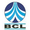 Burnpur Cement logo