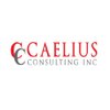 Caelius Consulting logo