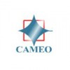 Cameo Corporate Services logo