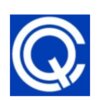 Capsquery Private Limited logo