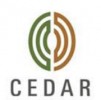 Cedar Management Consulting logo