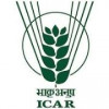 Central Institute of Agricultural Engineering logo